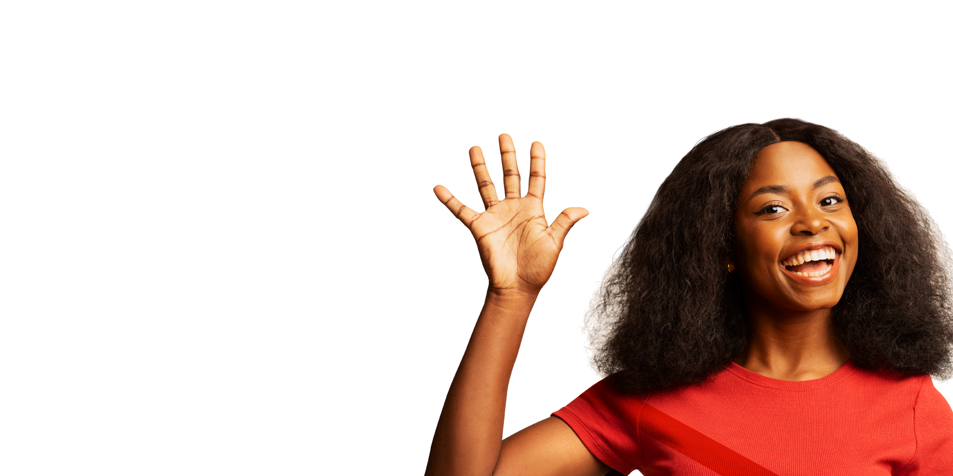 <h3><p>タッチレス手のひら認識</p><h3> </h3></h3>